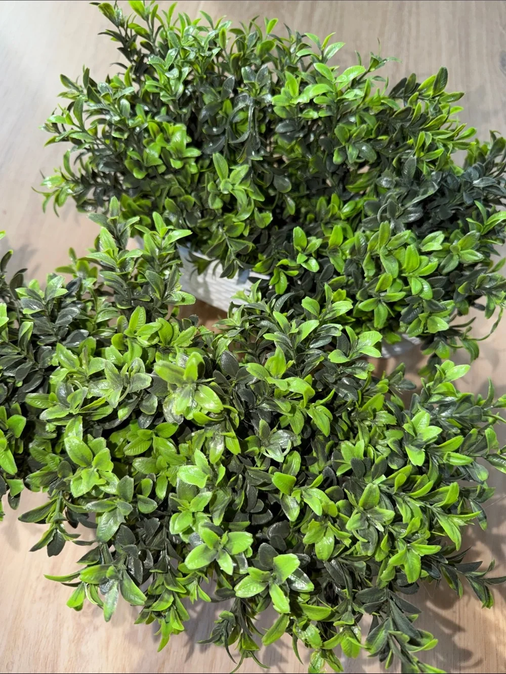 Modern Home 2 White Woven Planter with Lush Green Faux Boxwood